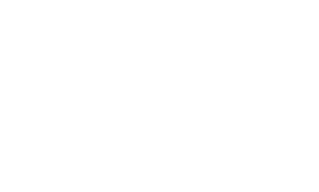 VKB Sim